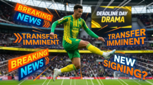 FC Nantes Mercato